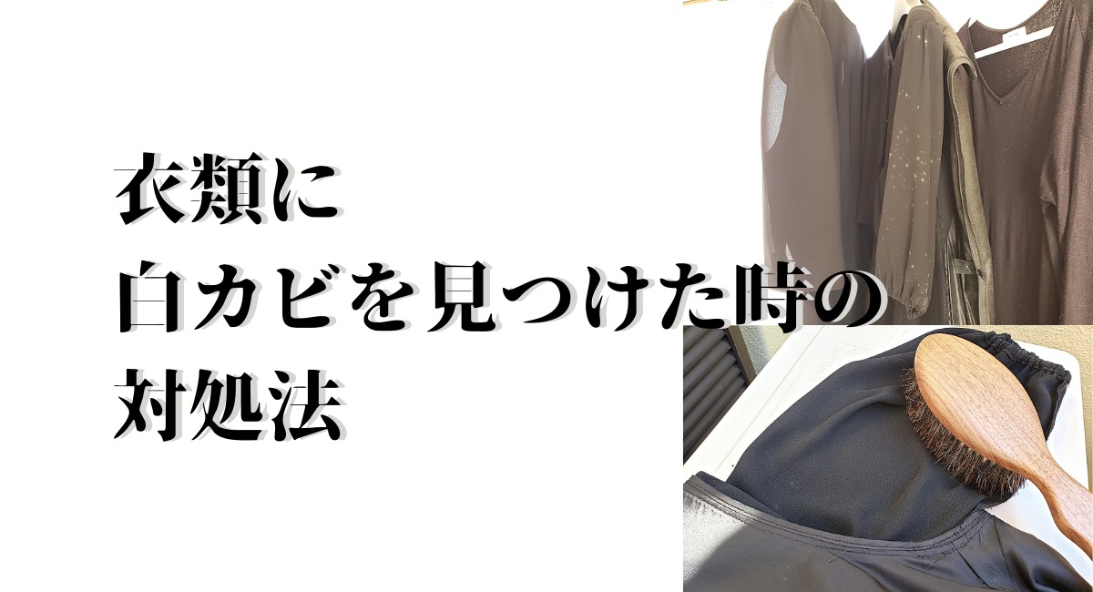 衣類に白カビを見つけた時の対処法